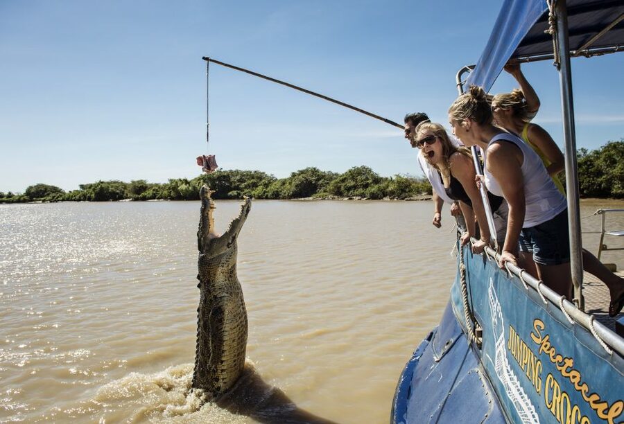 Jumping Crocodile Cruise from Darwin Half-Day Scenic Trip - Watching the Adelaide River beyond the crocodiles