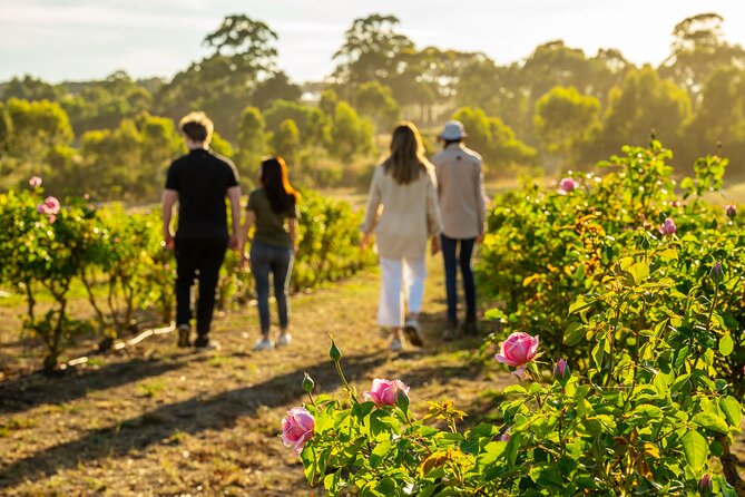 Jurlique Farm Tour - Key points about the Jurlique Farm Tour