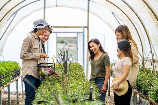 Jurlique Farm Tour - Why the Adelaide Hills setting matters