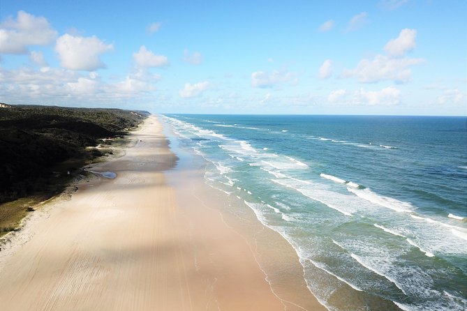 K'gari (Fraser Island) All Inclusive Day Tour - Central Station and the Wanggoolba Creek boardwalk