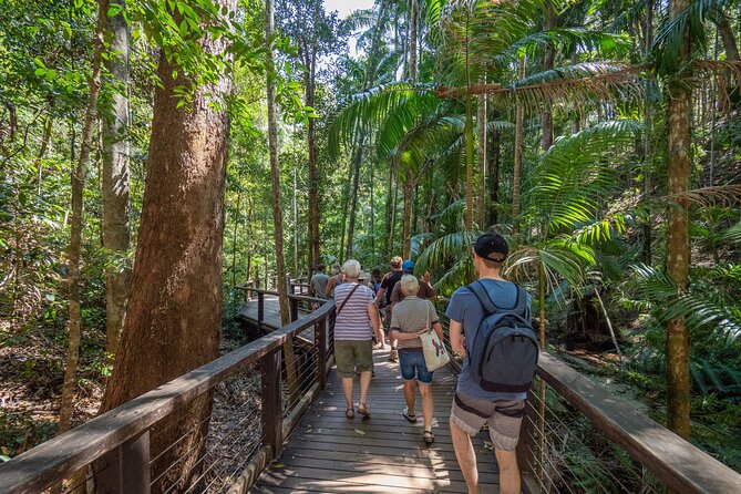 K'gari (Fraser Island) All Inclusive Day Tour - Eli Creek is short, shallow, and refreshing