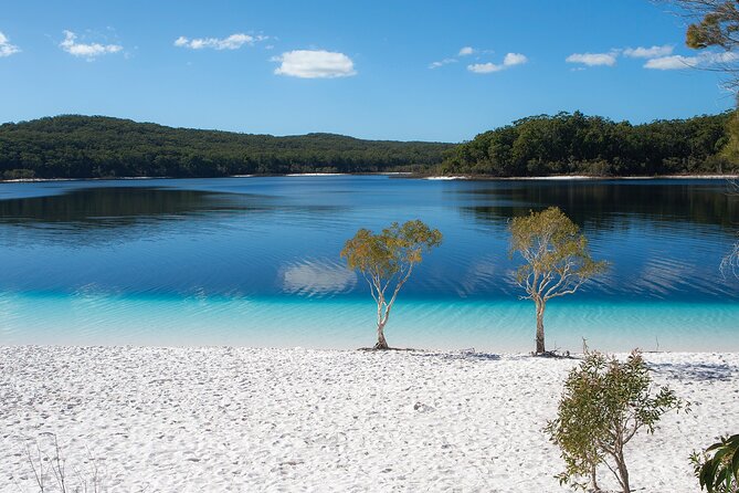 K'gari (Fraser Island) All Inclusive Day Tour - Lake McKenzie gives you the best hour of the day