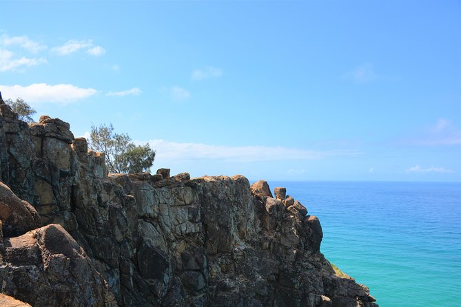 K'gari (Fraser Island) Explorer 2-Day Tour - Eli Creek gives you a gentle water stop