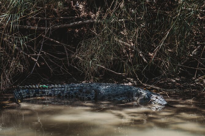 Kakadu Day Tour from Darwin with Offroad Dreaming - Guides make or break this experience