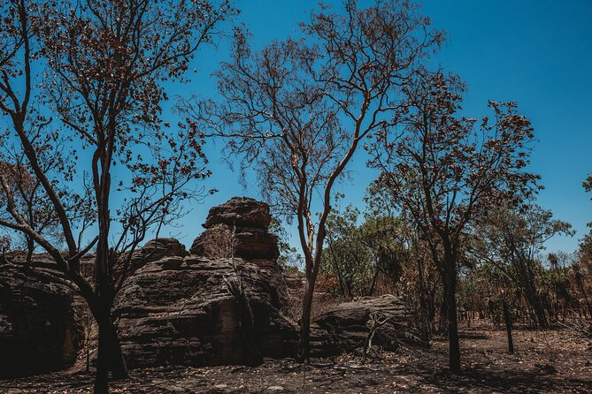 Kakadu Day Tour from Darwin with Offroad Dreaming - Is $243.86 a fair price?