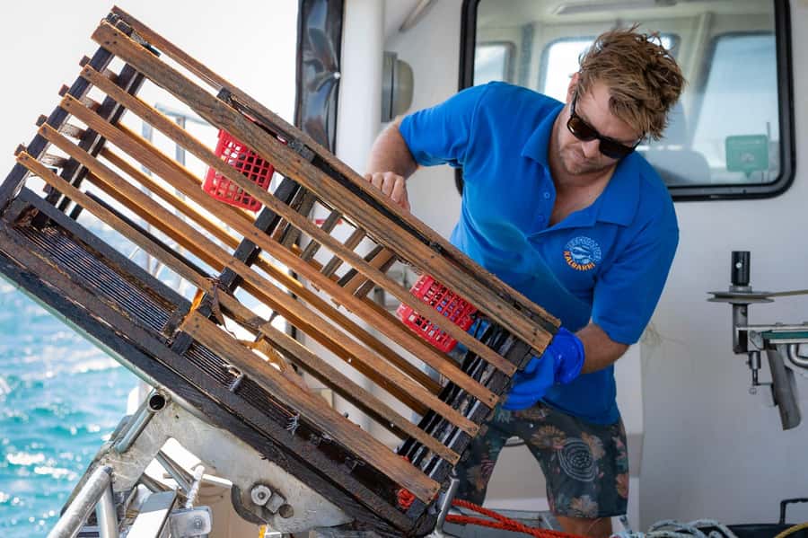 Kalbarri Crayfish Catch & Keep Tour - Key points at a glance