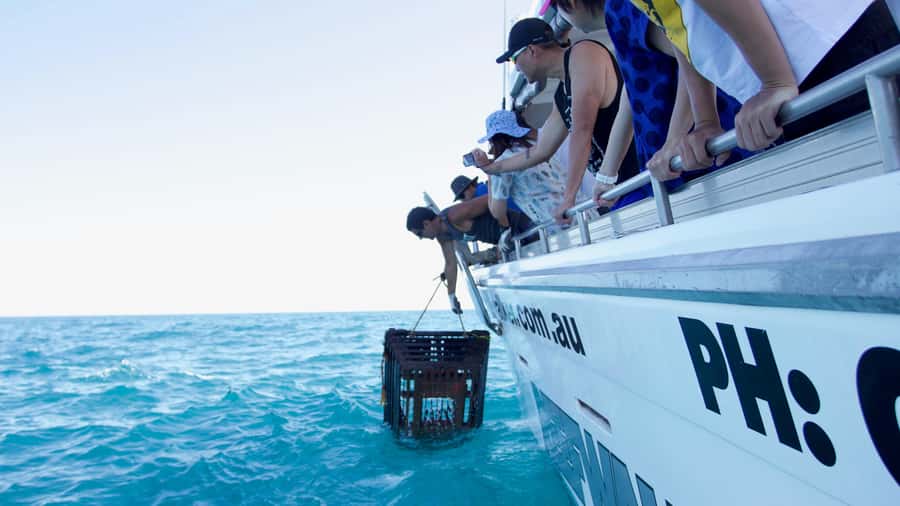 Kalbarri Crayfish Catch & Keep Tour - Should you book the Kalbarri Crayfish Catch & Keep Tour?