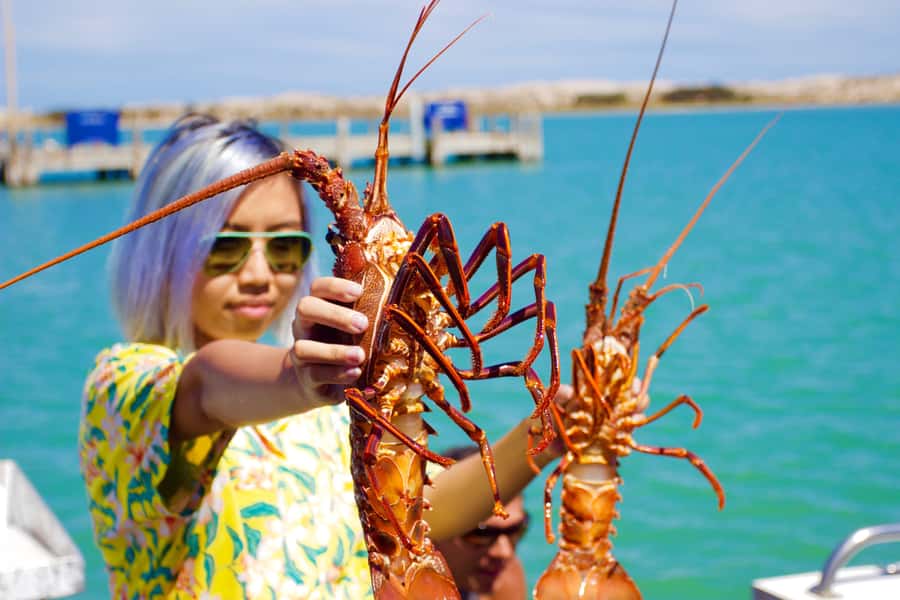 Kalbarri Crayfish Catch & Keep Tour - Watching 12 lobster pots come aboard
