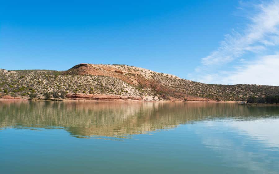 Kalbarri: Murchison River Wilderness Wildlife Cruise - A gentle way to see Kalbarri’s river country