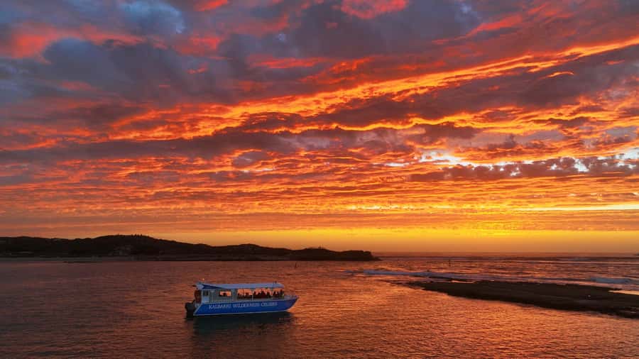 Kalbarri: Murchison River Wilderness Wildlife Cruise - The first six kilometres upriver