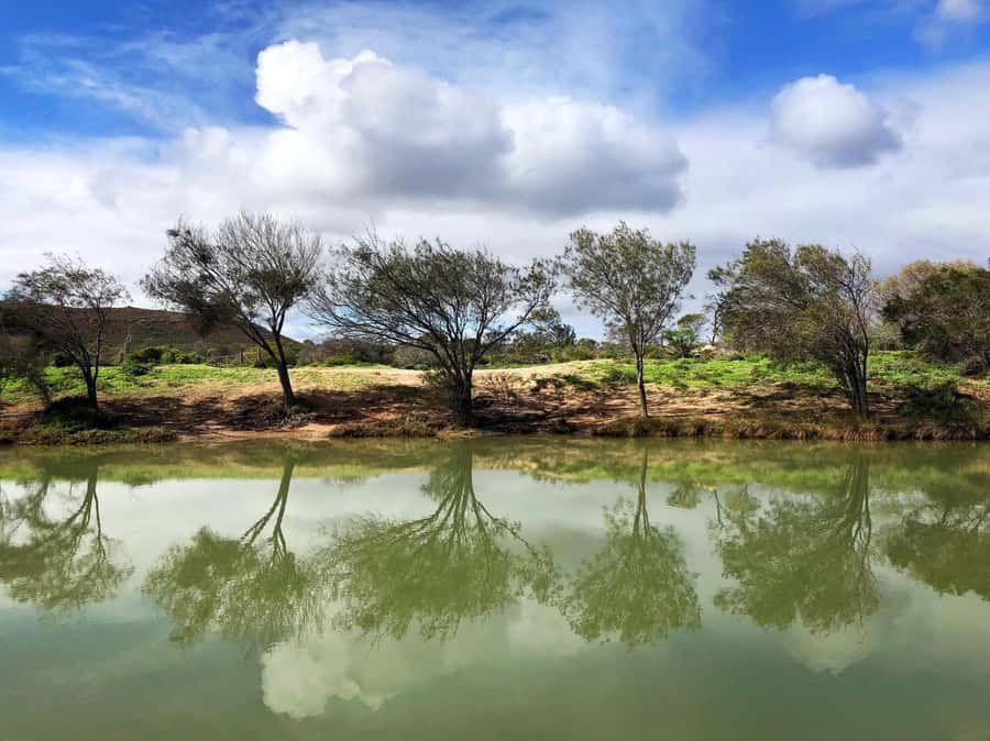 Kalbarri: Murchison River Wilderness Wildlife Cruise - How the wildlife spotting really works