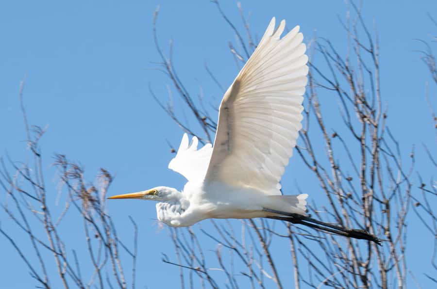 Kalbarri: Murchison River Wilderness Wildlife Cruise - Commentary, comfort, and the pace of the trip