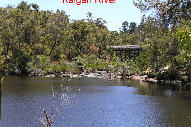 Kalgan Queen Scenic Cruises a four hour sheltered water wildlife tour daily fun. - Pelicans, raptors, and other wildlife