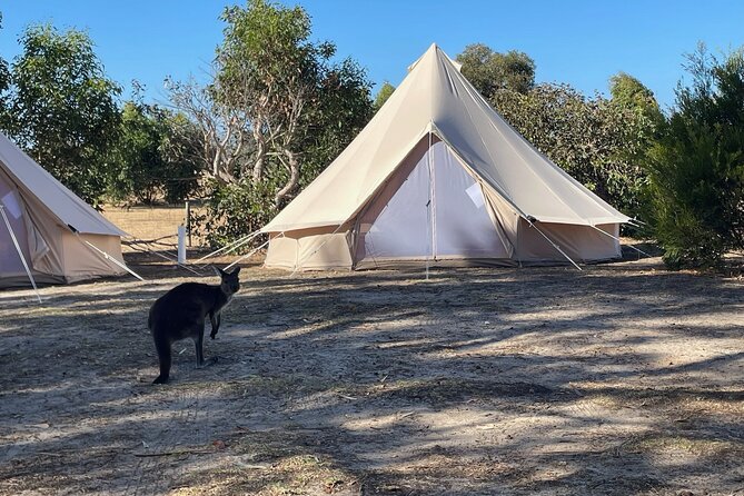 Kangaroo Island 2-Day Wildlife Adventure Small Group tour - Why two days makes sense on Kangaroo Island