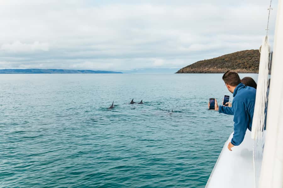 Kangaroo Island: 75-Minute Coastal Safari - Who will enjoy this Kangaroo Island safari most?