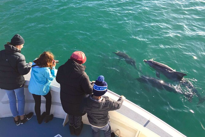 Kangaroo Island: 75-Minute Coastal Safari - Seals, sea lions, and rocky resting places