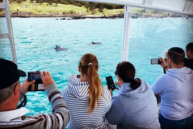 Kangaroo Island: 75-Minute Coastal Safari - What the skipper adds to the ride
