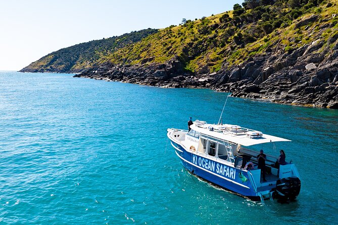 Kangaroo Island: 75-Minute Coastal Safari - The first stretch along Kangaroo Island’s ancient coast