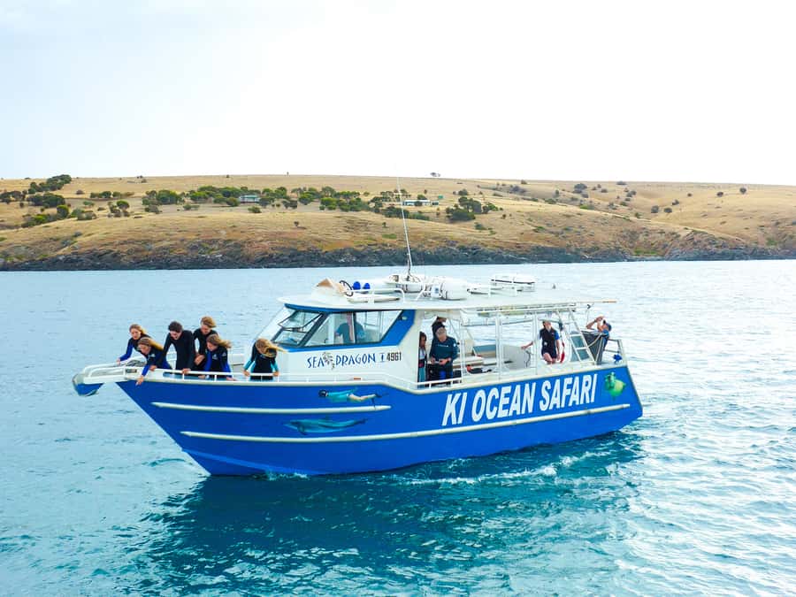Kangaroo Island: Dolphin, Seal, and Swimming Boat Tour - Meeting the crew in Penneshaw