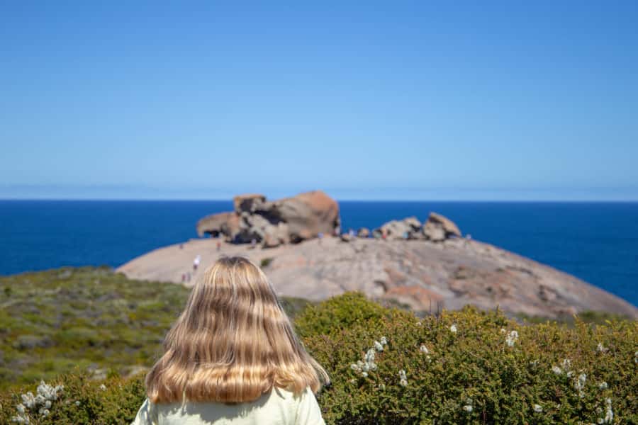 Kangaroo Island Full Day Experience by Ferry Including Lunch - What makes this Kangaroo Island day trip worthwhile