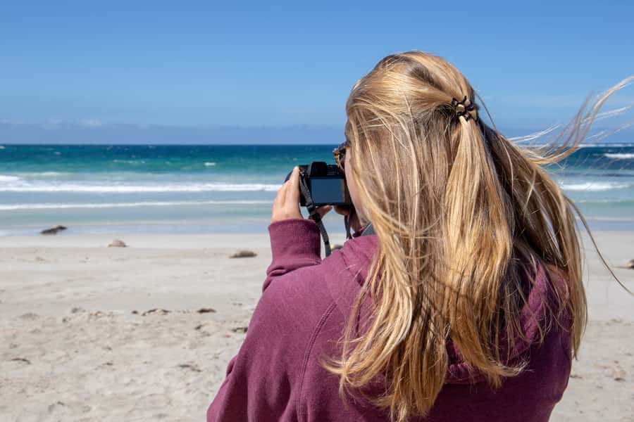 Kangaroo Island Full Day Experience by Ferry Including Lunch - The wildlife sanctuary stop adds a more hands-on moment