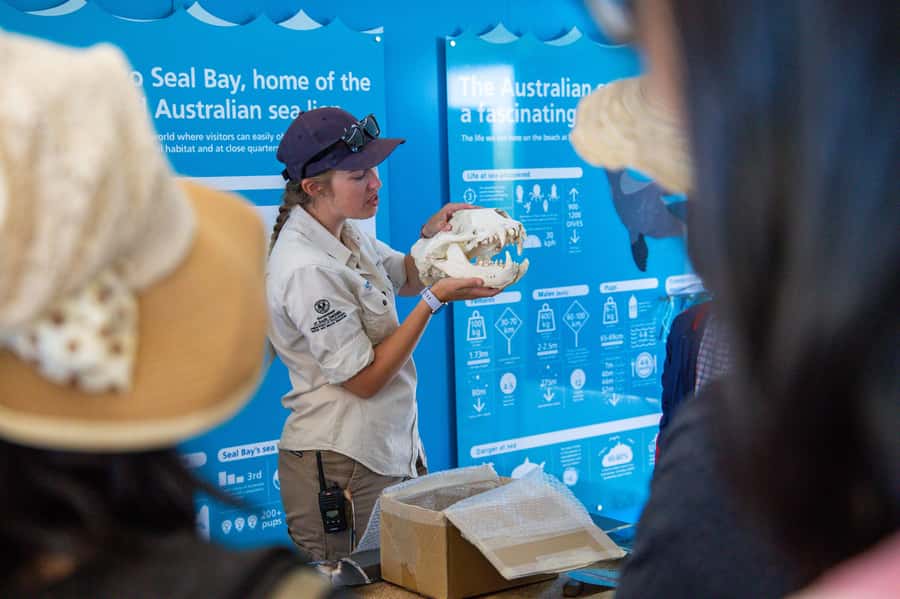 Kangaroo Island Full Day Experience by Ferry Including Lunch - Guides make the long drives useful