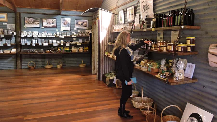 Kangaroo Island: Half-Day Tour Guided Coach Tour - What this half-day tour is really designed to do