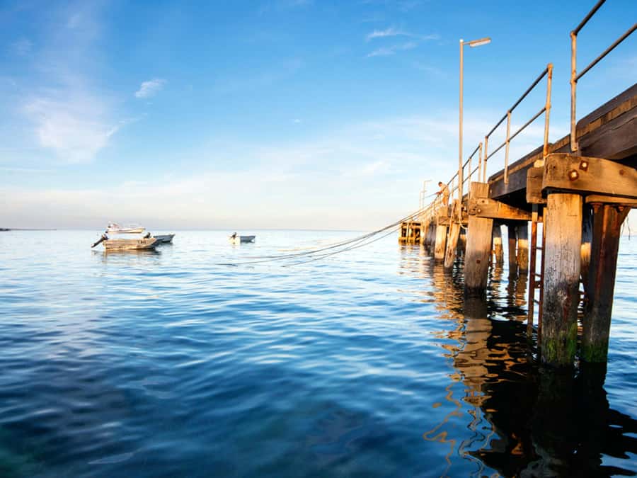 Kangaroo Island: Half-Day Tour Guided Coach Tour - Ligurian Bee Co and the taste of island honey