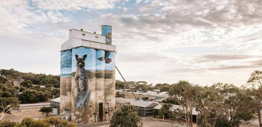 Kangaroo Island: Half-Day Tour Guided Coach Tour - Guide quality can shape the whole experience