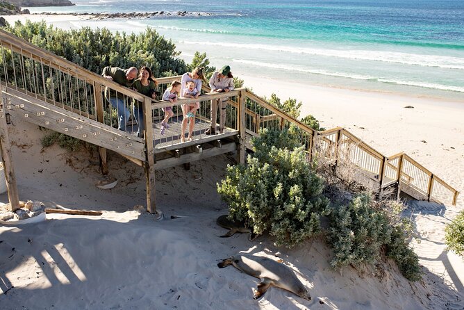 Kangaroo Island in a Day Tour from Adelaide - A 6:30 am start from Adelaide