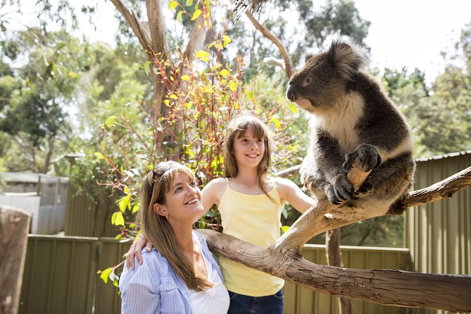 Kangaroo Island in a Day Tour from Adelaide - What the guides add to the day