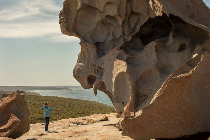 Kangaroo Island in a Day Tour from Adelaide - Seal Bay: sea lions on the beach