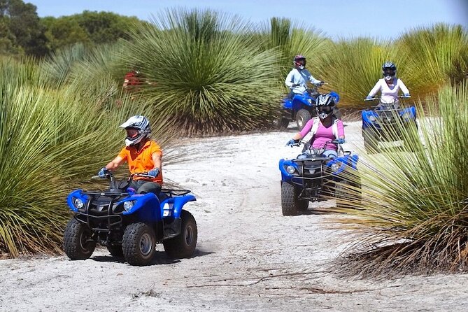 Kangaroo Island Quad Bike (ATV) Tours - Stops that add meaning to the bush ride