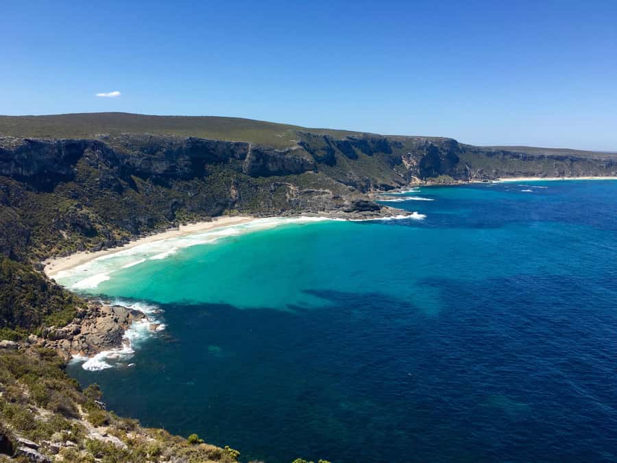 Kangaroo Island: Scenic, Nature & Wildlife Tour - Key points to know before booking