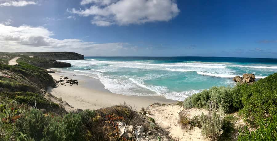 Kangaroo Island: Scenic, Nature & Wildlife Tour - Seal Bay and the sea lion colony
