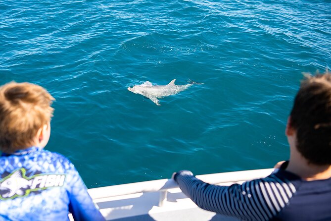 Kangaroo Island - Swim with Dolphins/Seals/Coastal Snorkel - The dolphin search and its limits