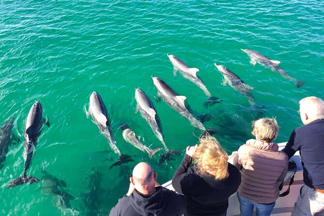 Kangaroo Island - Swim with Dolphins/Seals/Coastal Snorkel - Coastal snorkeling beyond the headline animals