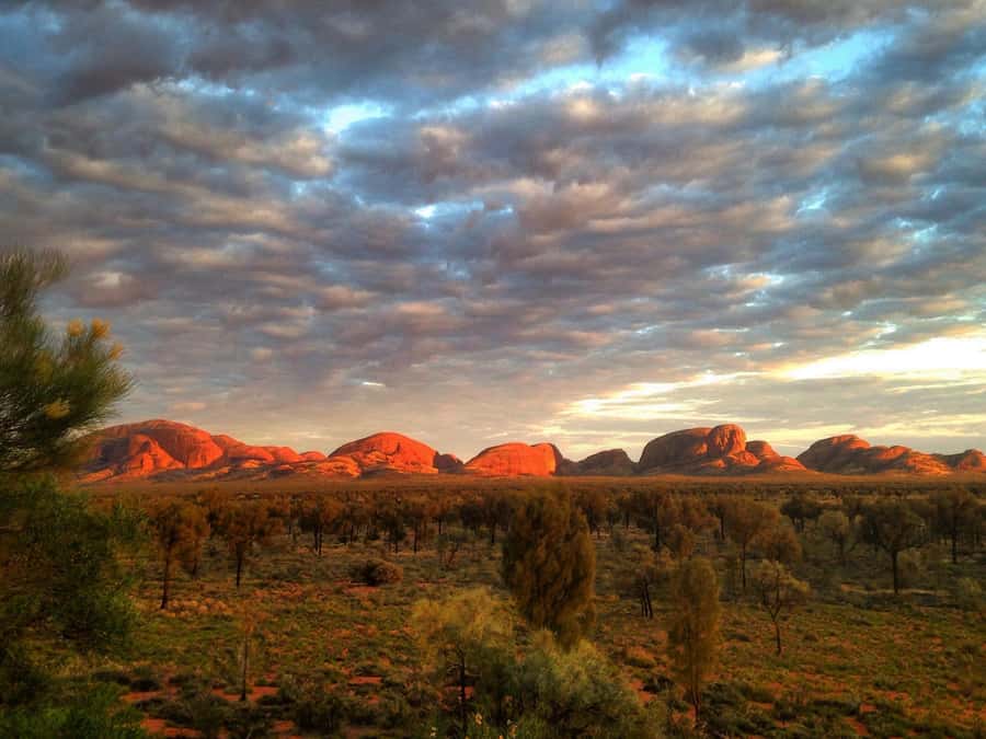 Kata Tjuta: Small Group Sunrise Tour with Picnic Breakfast - What the Small Group Changes