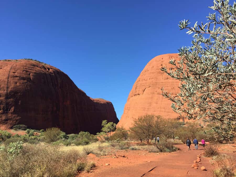 Kata Tjuta: Small Group Sunrise Tour with Picnic Breakfast - A Picnic Breakfast Beside Kata Tjuṯa