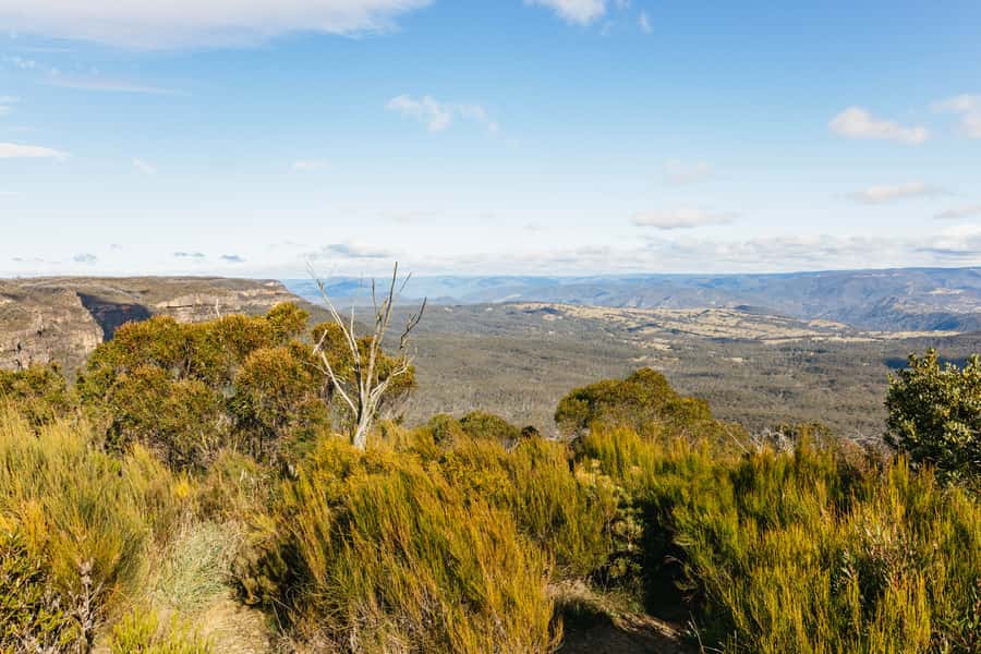 Katoomba: Lyrebird Hop-On Hop-Off and Scenic World Pass - Begin at Katoomba Station with a morning plan