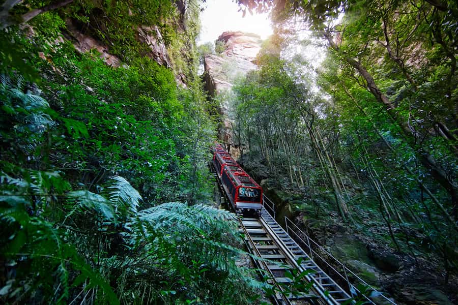 Katoomba: Scenic World 1-Day Unlimited Discovery Pass - Walk the rainforest on the Scenic Walkway