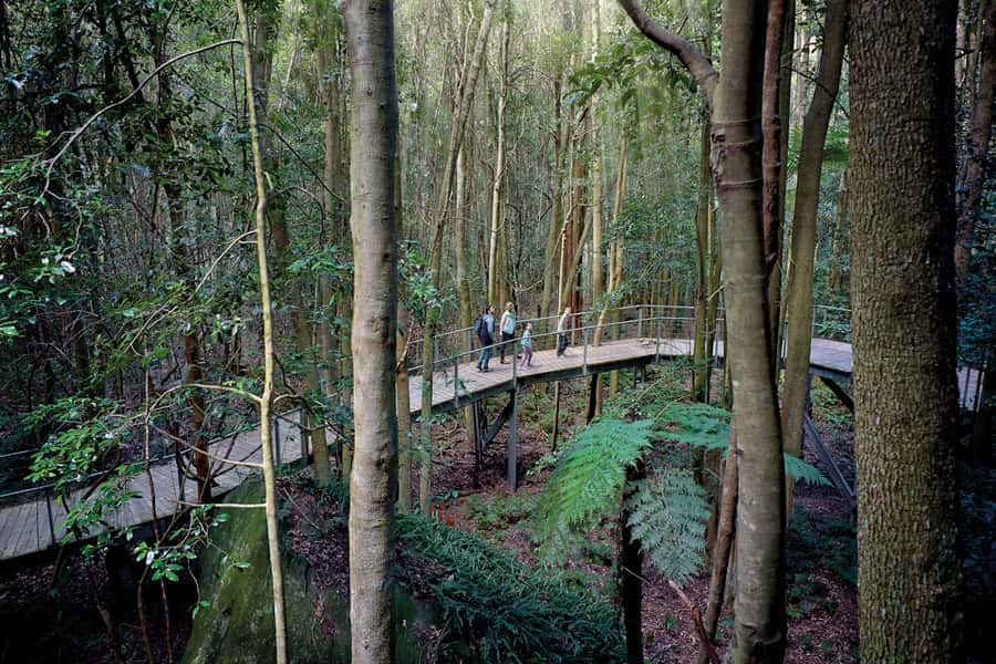 Katoomba: Scenic World 1-Day Unlimited Discovery Pass - Cross Jamison Valley on the Scenic Skyway