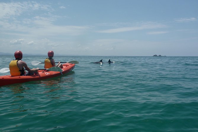 Kayaking with Dolphins in Byron Bay Guided Tour - Starting opposite Lawson Street