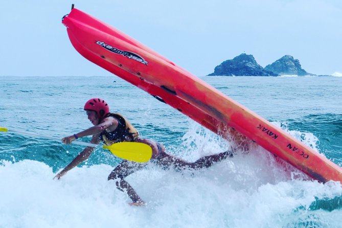 Kayaking with Dolphins in Byron Bay Guided Tour - Meeting dolphins on their terms