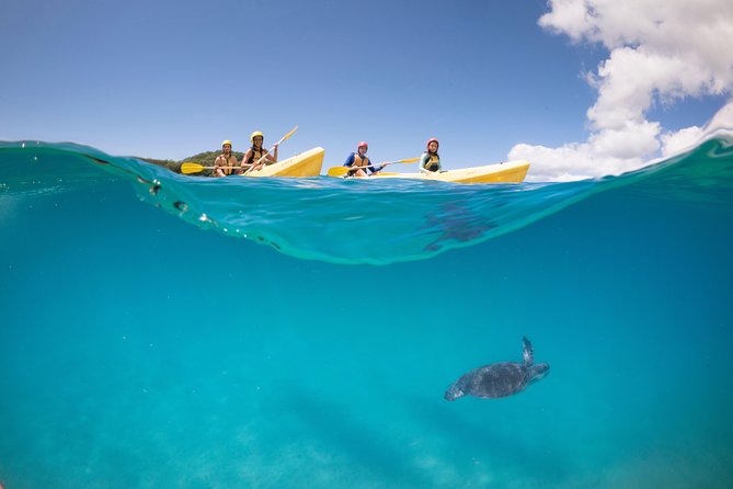 Kayaking with Dolphins in Byron Bay Guided Tour - How hard is the kayaking?
