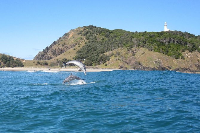 Kayaking with Dolphins in Byron Bay Guided Tour - Paddling through Cape Byron Marine Park