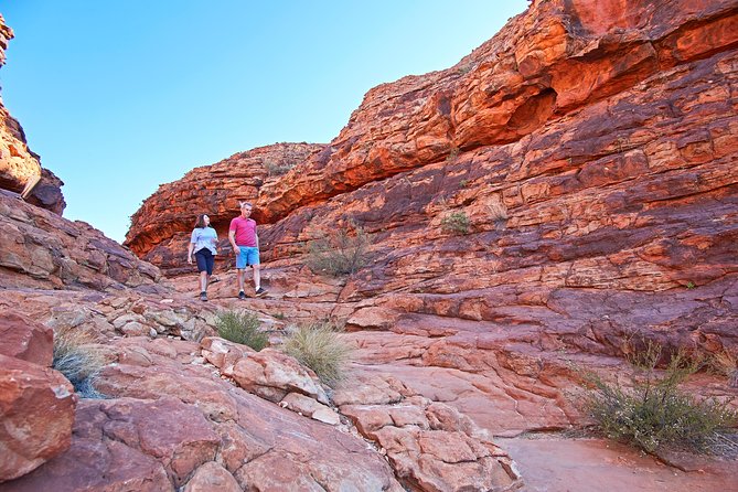 Kings Canyon Day Trip from Ayers Rock (Uluru) - The pre-dawn departure from Ayers Rock Resort