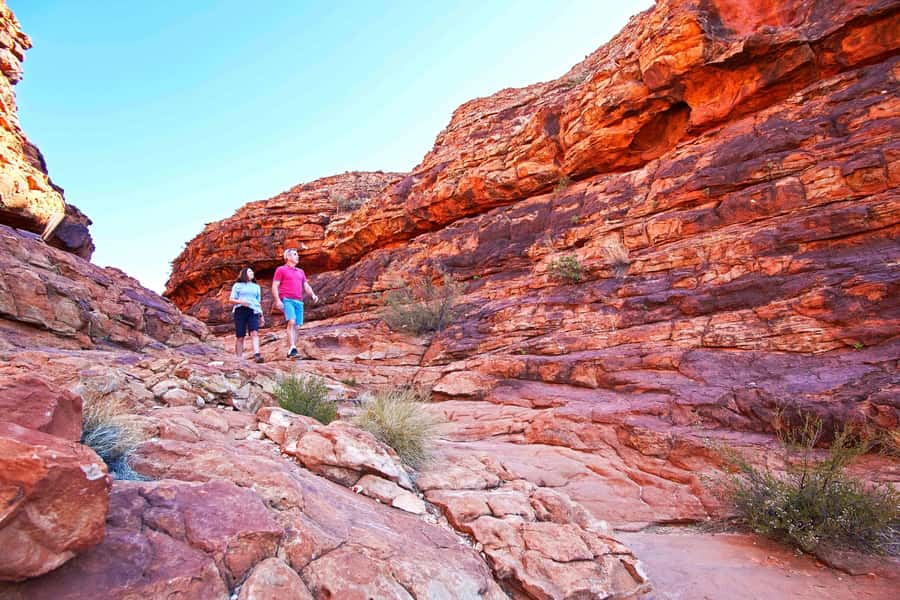 Kings Canyon: Full-Day Tour from Ayers Rock Resort - Key points before you book
