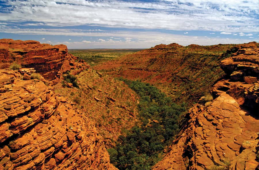 Kings Canyon: Full-Day Tour from Ayers Rock Resort - The 4 AM start from Ayers Rock Resort