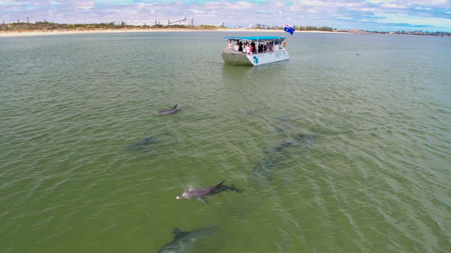 Koombana Bay: Dolphin Eco Cruise - What the Koombana Bay cruise is really like